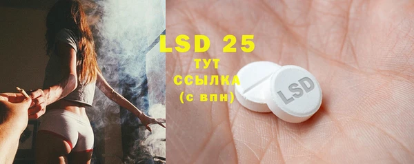 индика Алексеевка