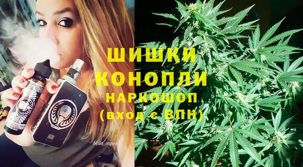 индика Алексеевка