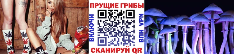 Псилоцибиновые грибы Cubensis  Сосенский 
